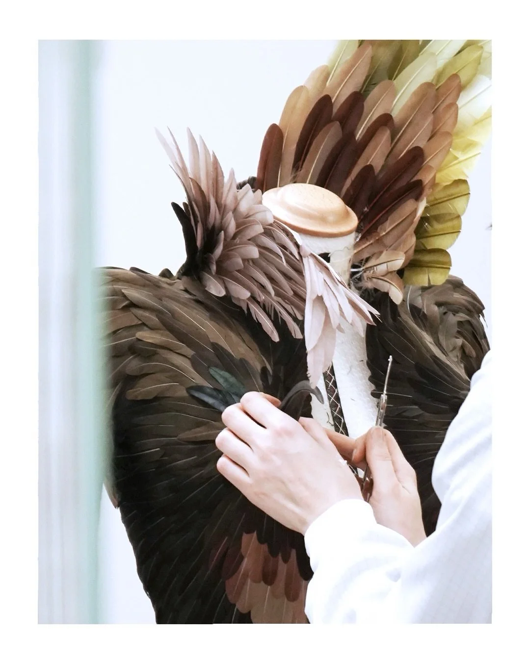 SCHIAPARELLI - Haute Couture SS26, Look N&deg;30

Discover the making of this Haute Couture tailored jacket, adorned with feathers meticulously assembled to evoke the lightness and movement of wings &mdash; each element hand-crafted and delicately pl