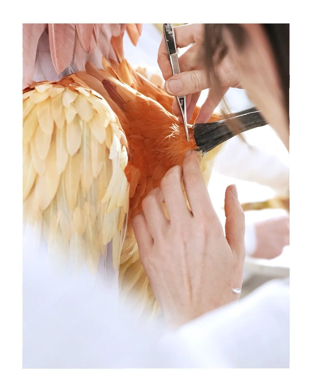 SCHIAPARELLI - Haute Couture SS26, Look N&deg;29

Discover the making of this Haute Couture tailored jacket, adorned with feathers meticulously assembled to mimic the ethereal form of wings &mdash; entirely handcrafted by the artisans of @maisonfevri