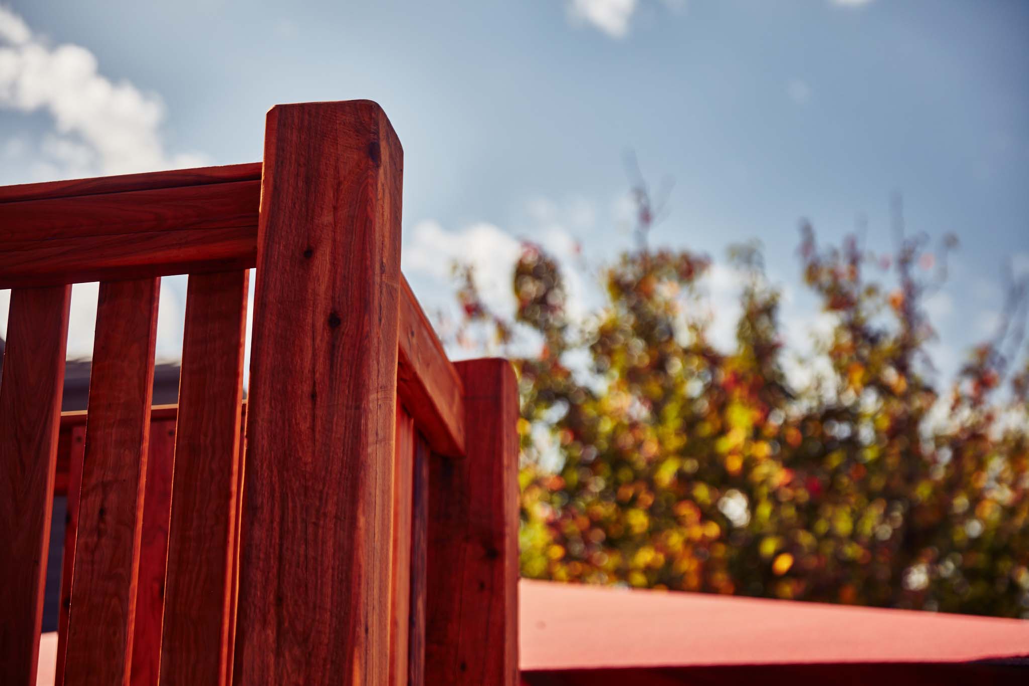 Total Force 0G3A3557.jpg