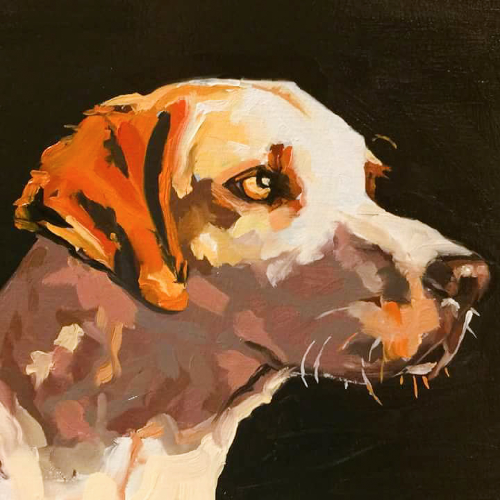 English Hound Study