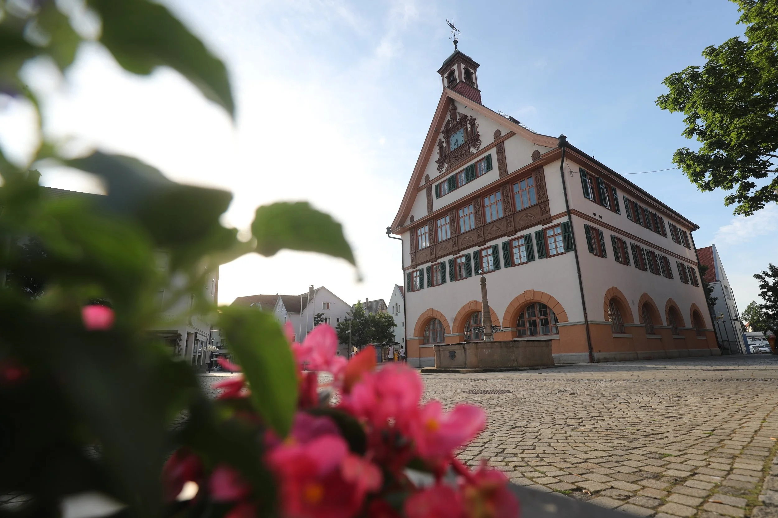 Foto: Altes Haus mit Fachwerk und Turm. Rosa Blüten verschwommen im Vordergrund.