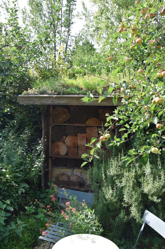 Foto: Apfelbaum, grüne Sträucher und ein Bienenhotel aus Holz.