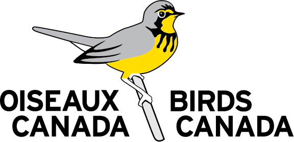 Logo BIrds Canada.png