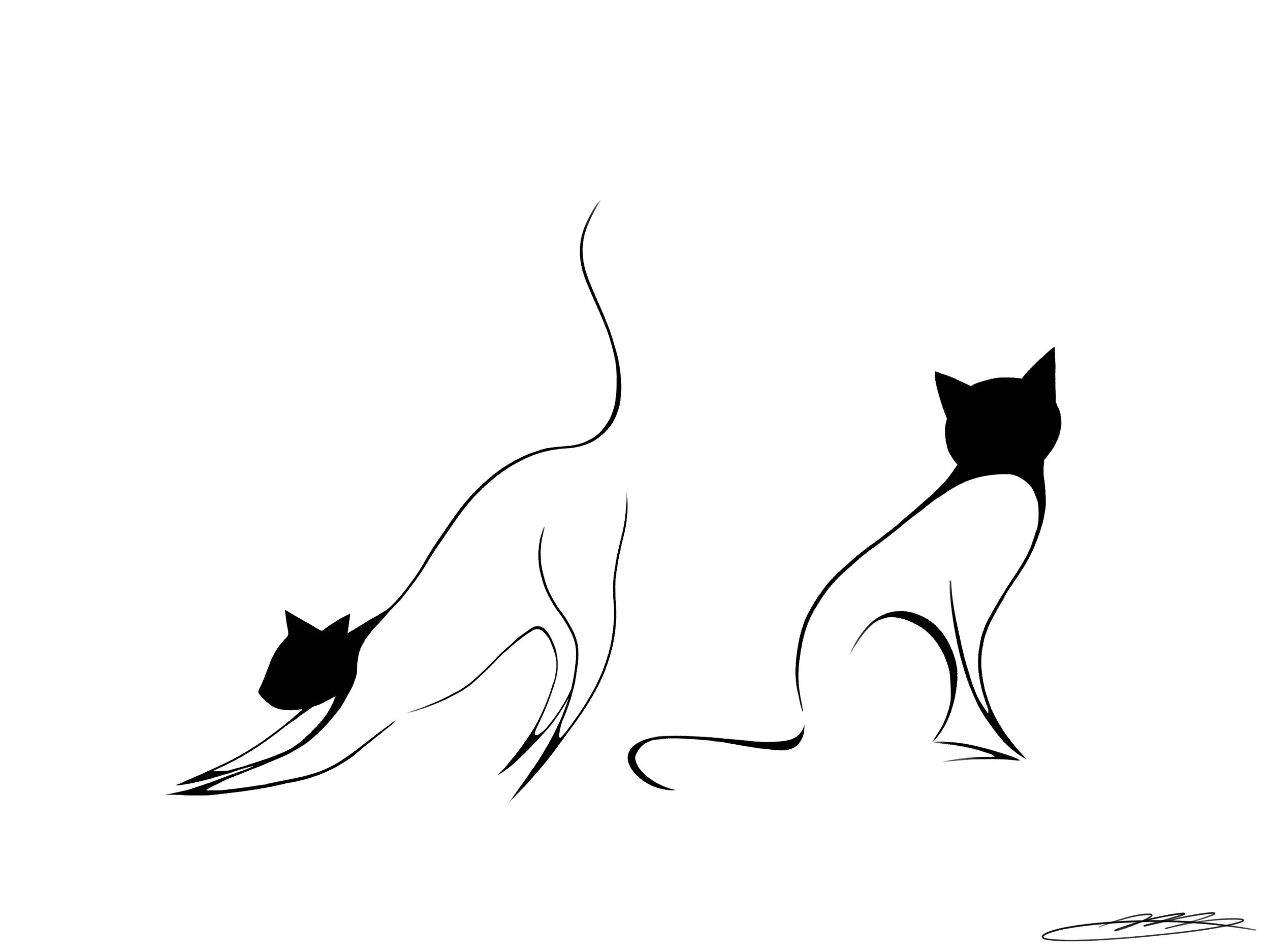 Final Assignment.JPG