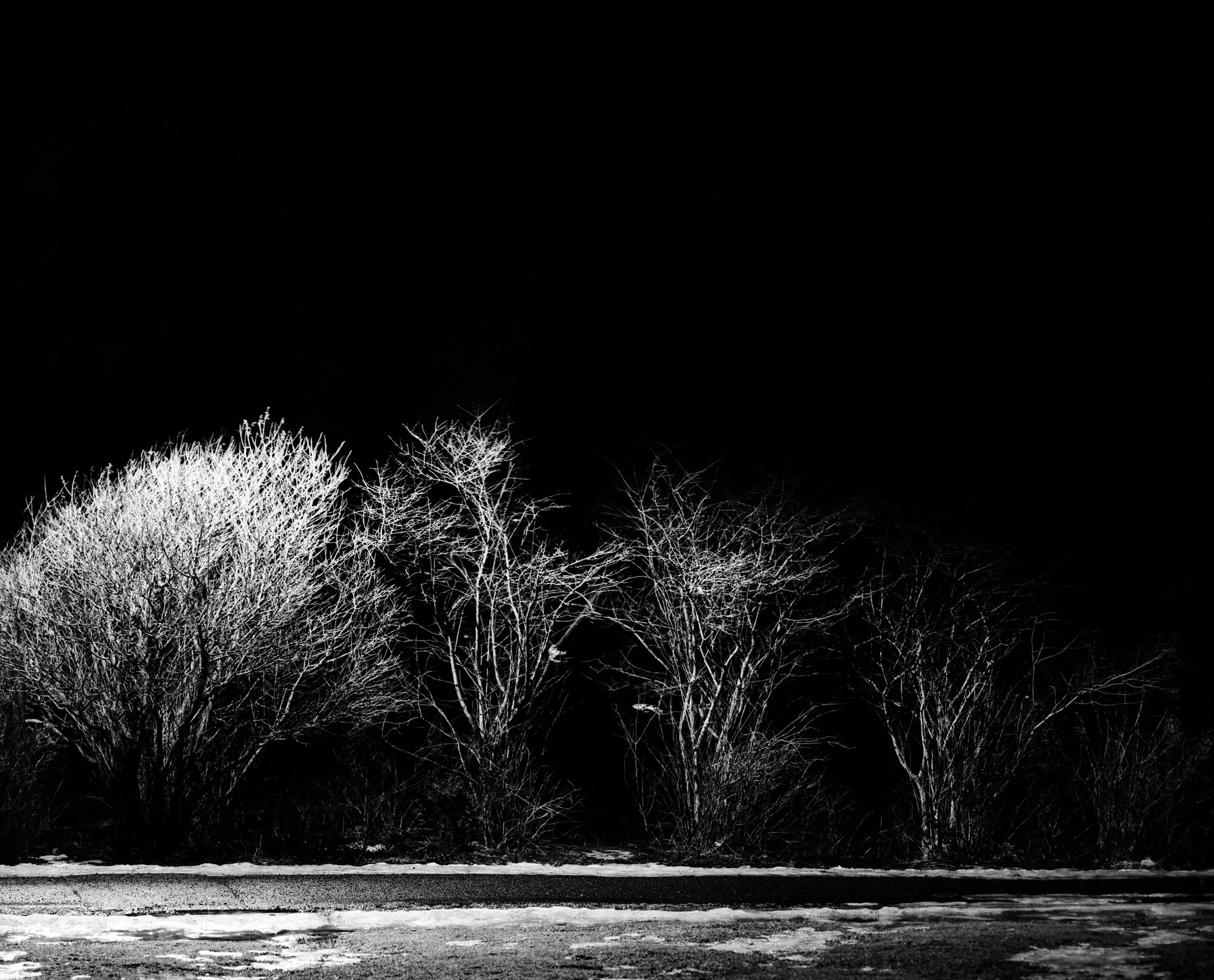 IMG_20190222_0009 alternative.jpg