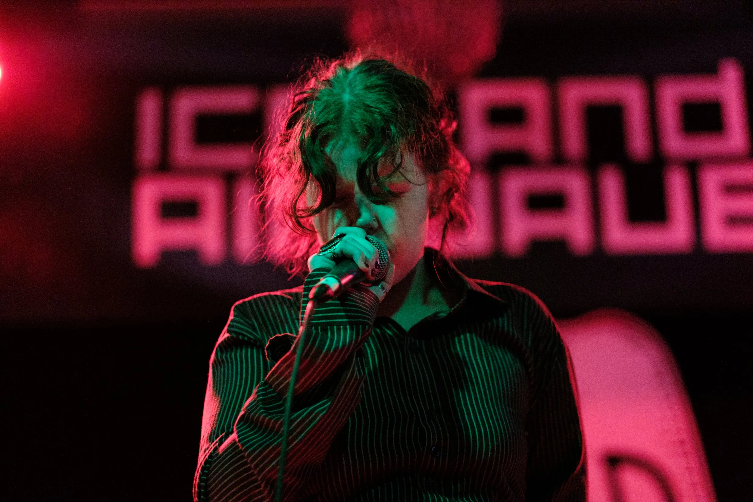 Gedbrigdi_Bird_Atli Freyr Steinsson-2.jpg