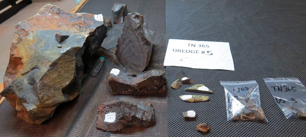 Dredge 5- pillow basalt, glass and a highly foliated piece of slate- from Antarctica.