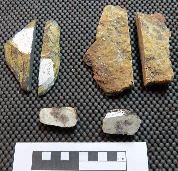Dropstones of continental crust- A piece of slate and two samples of garnet bearing gneiss
