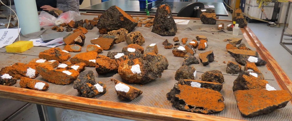 Dredge 22- surface weathered peridotite