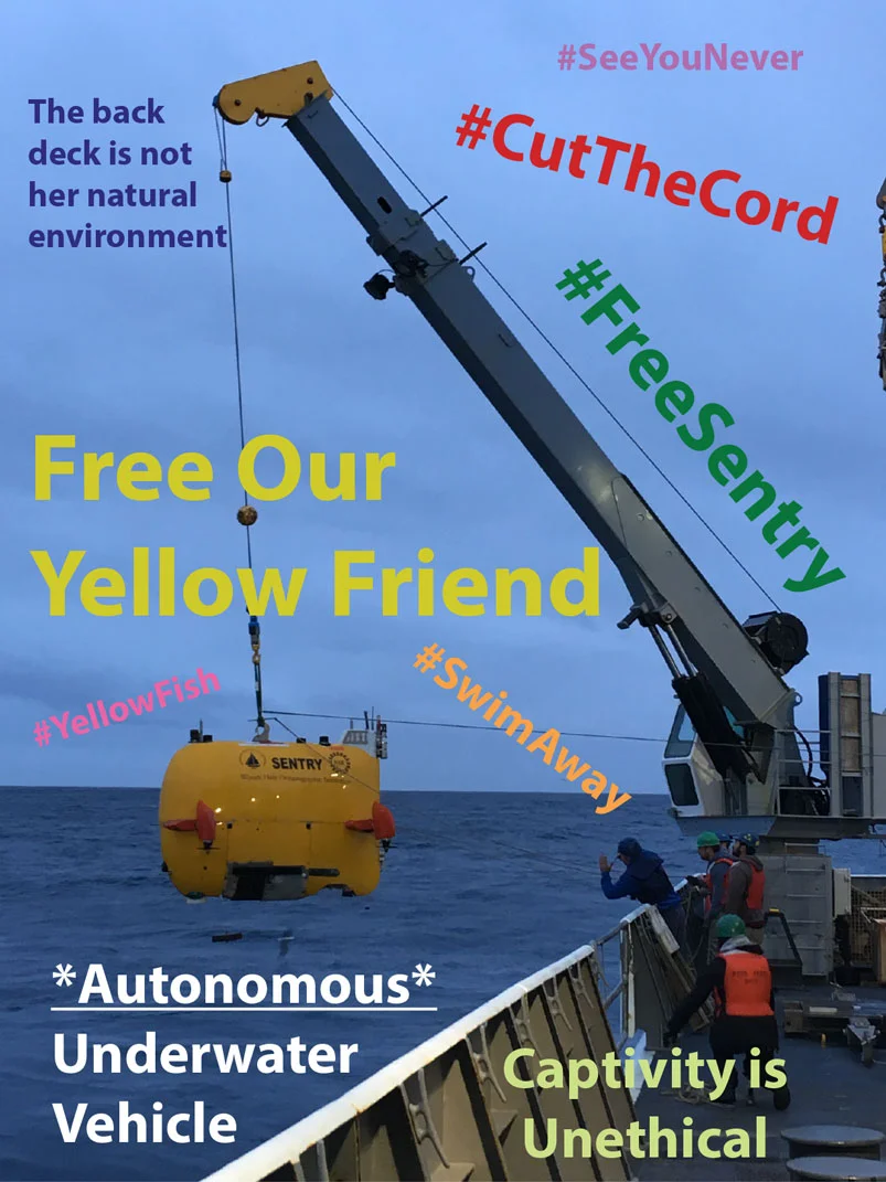 FreeSentry.jpg