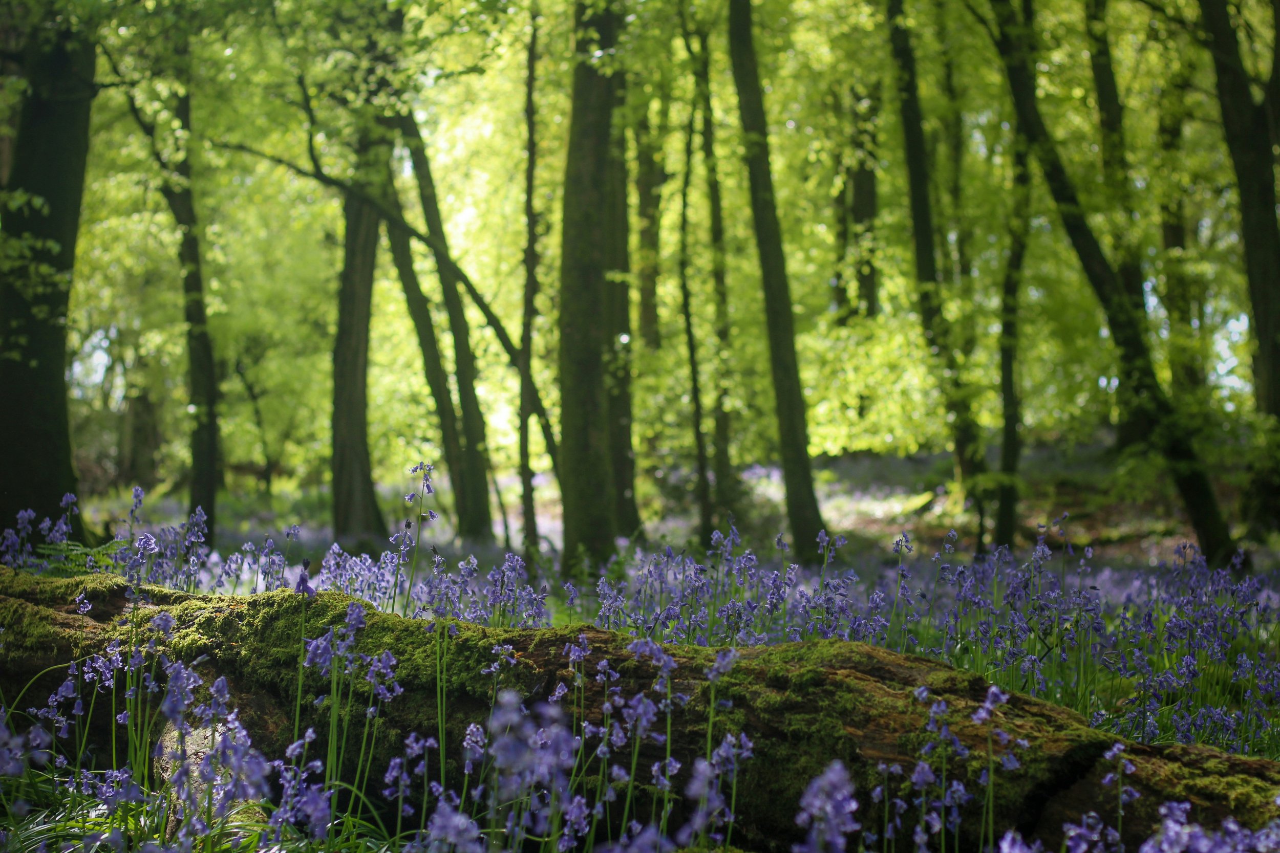 Spring Retreat on the Farm! 