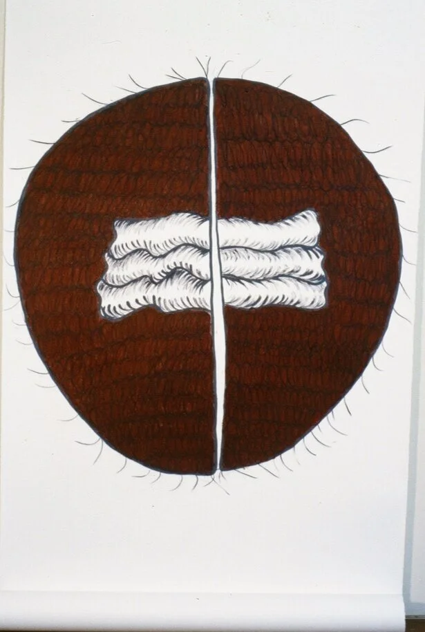 60 x 80"