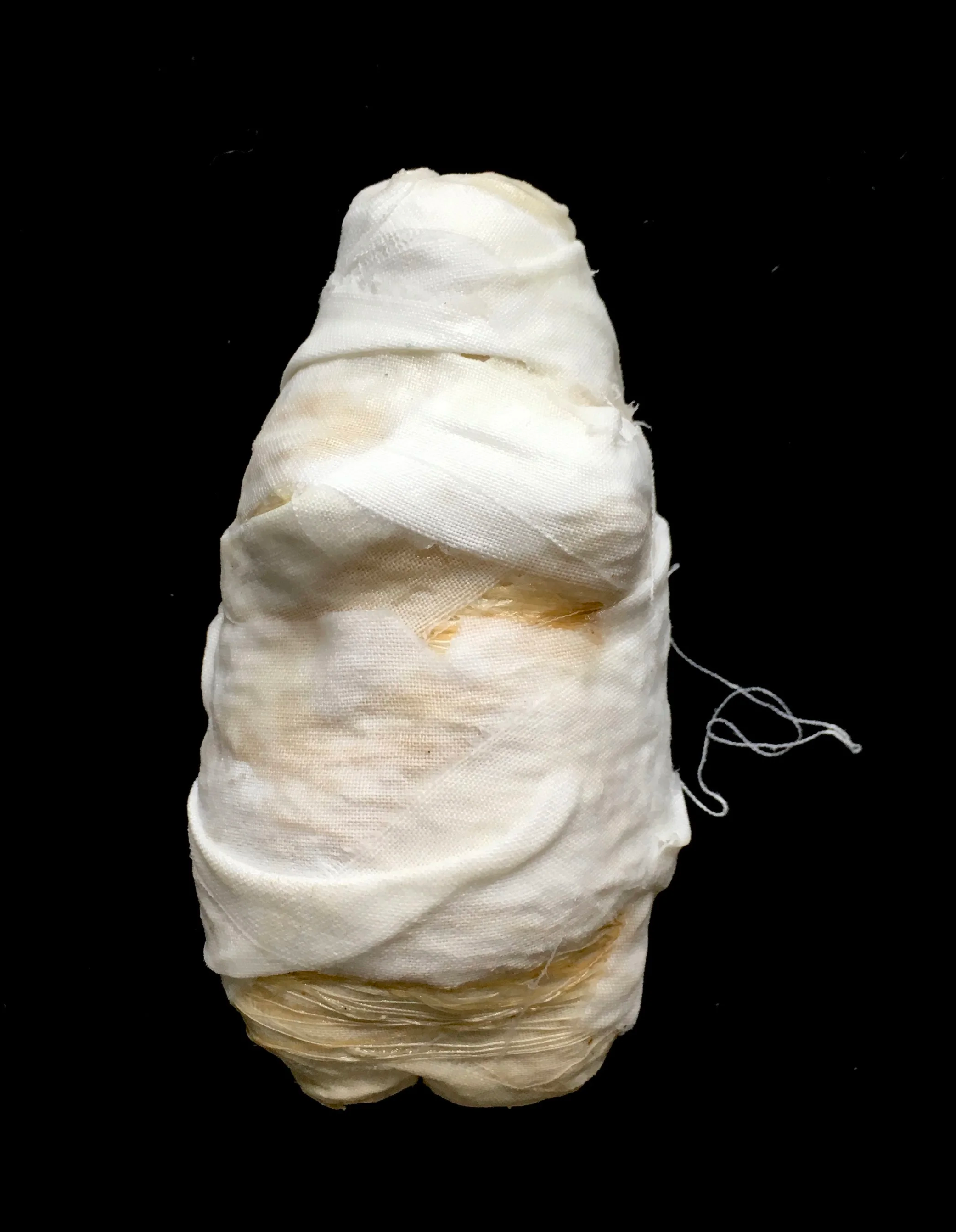 IMG_0200.png