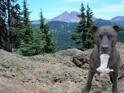 Bobo on Mt Spokane