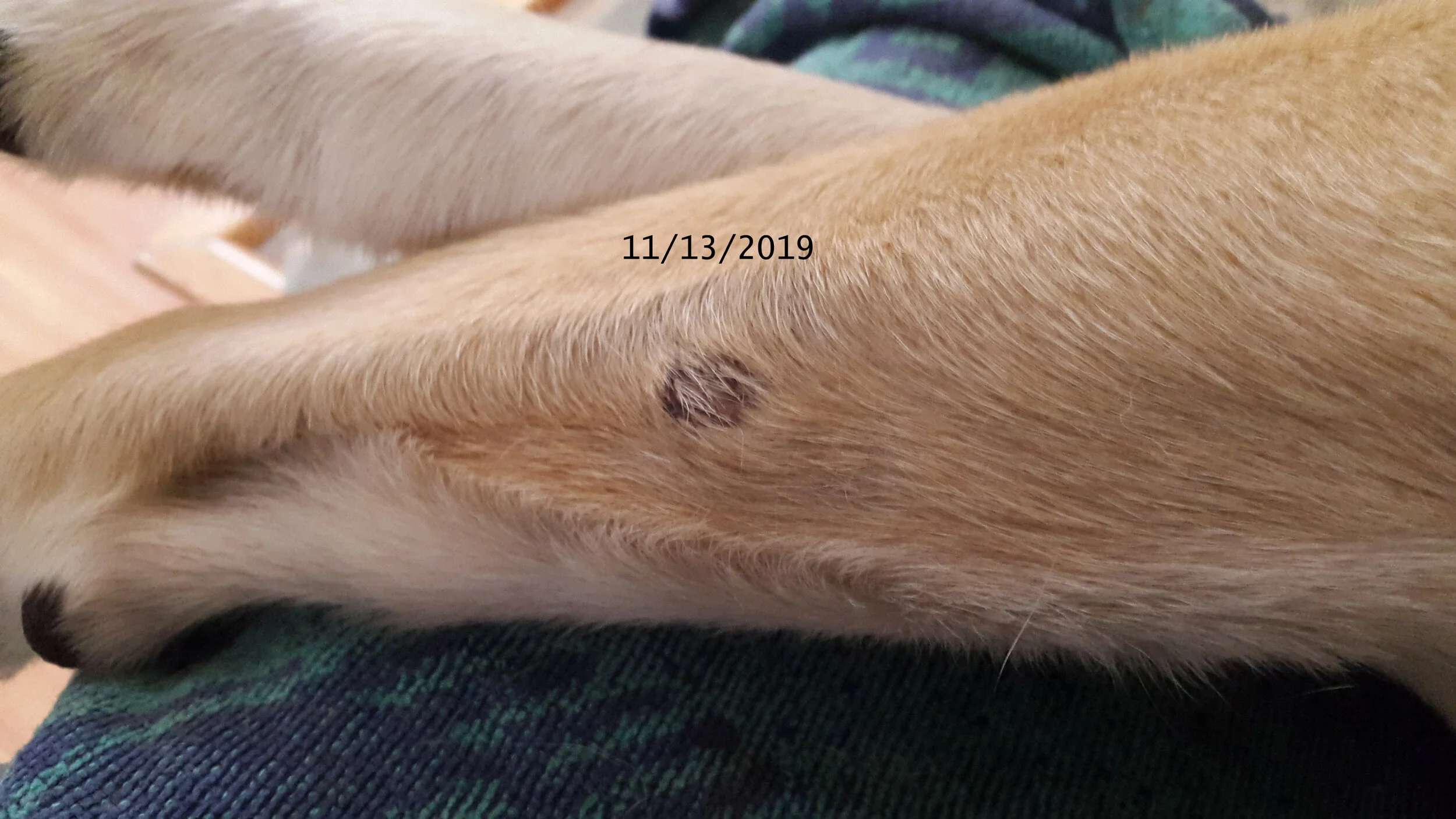 11-13-19_01.jpg