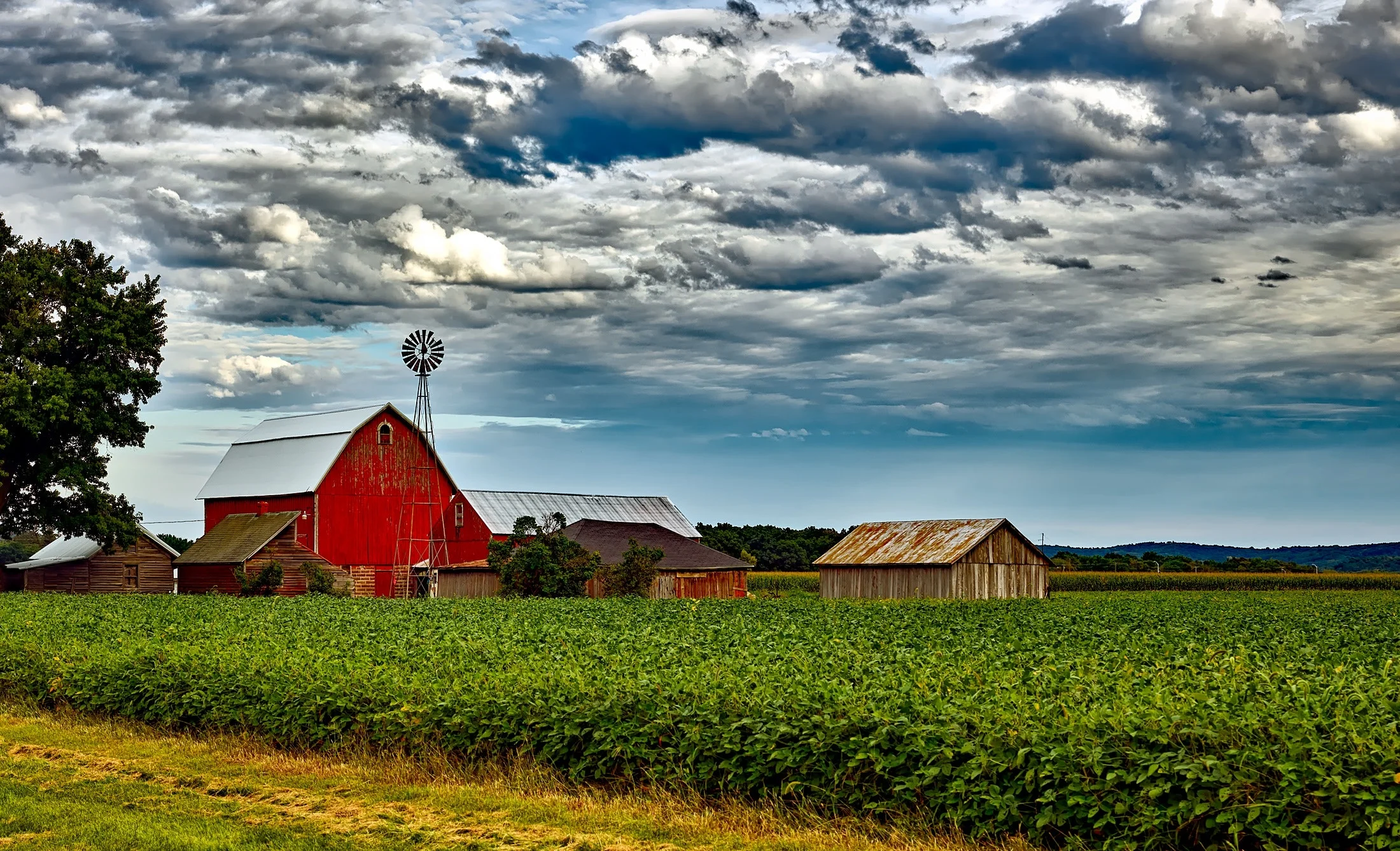 agriculture-barn-buildings-248880.jpg