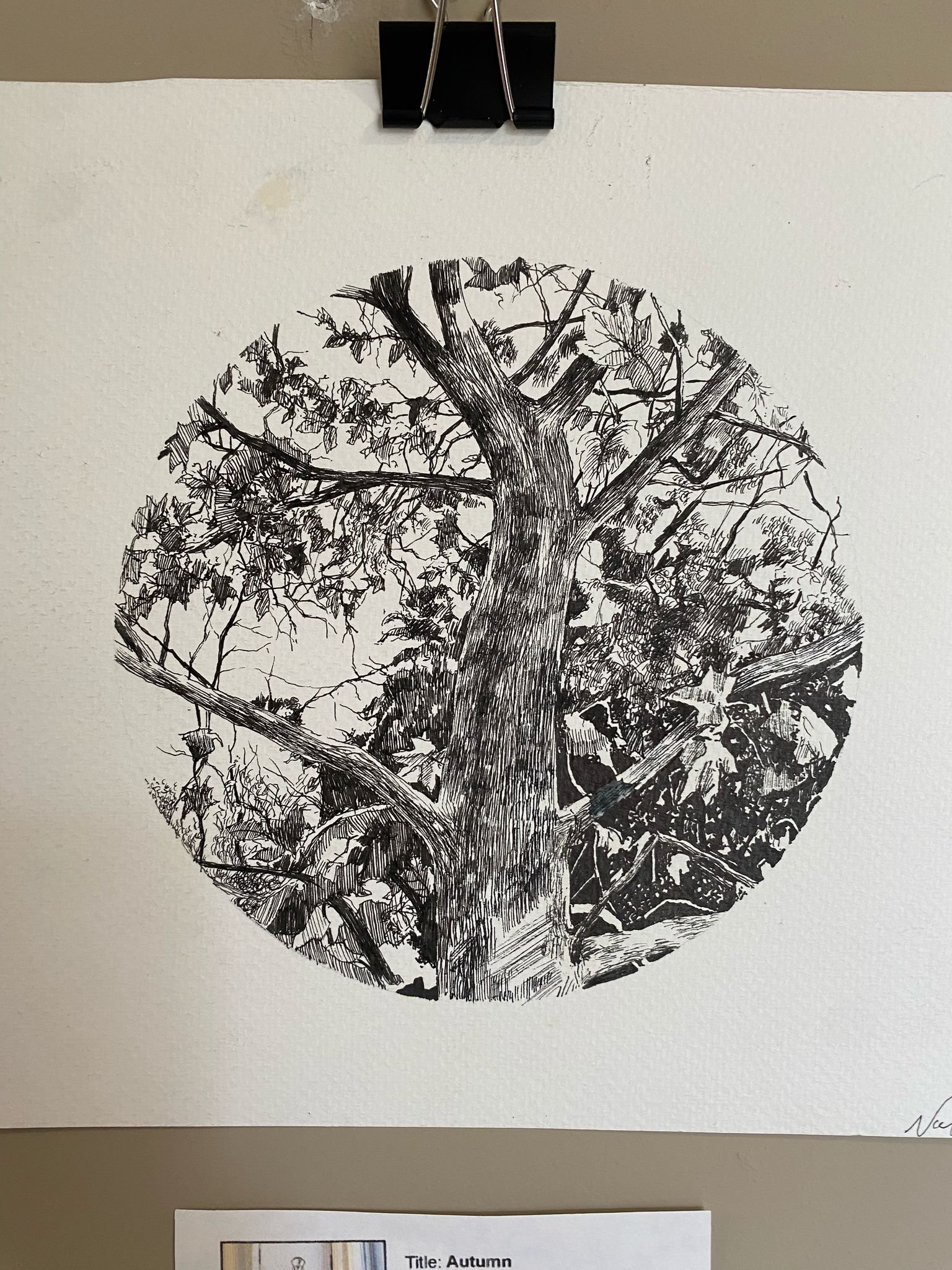 WhatsApp Image 2025-03-01 at 10.47.26.jpeg