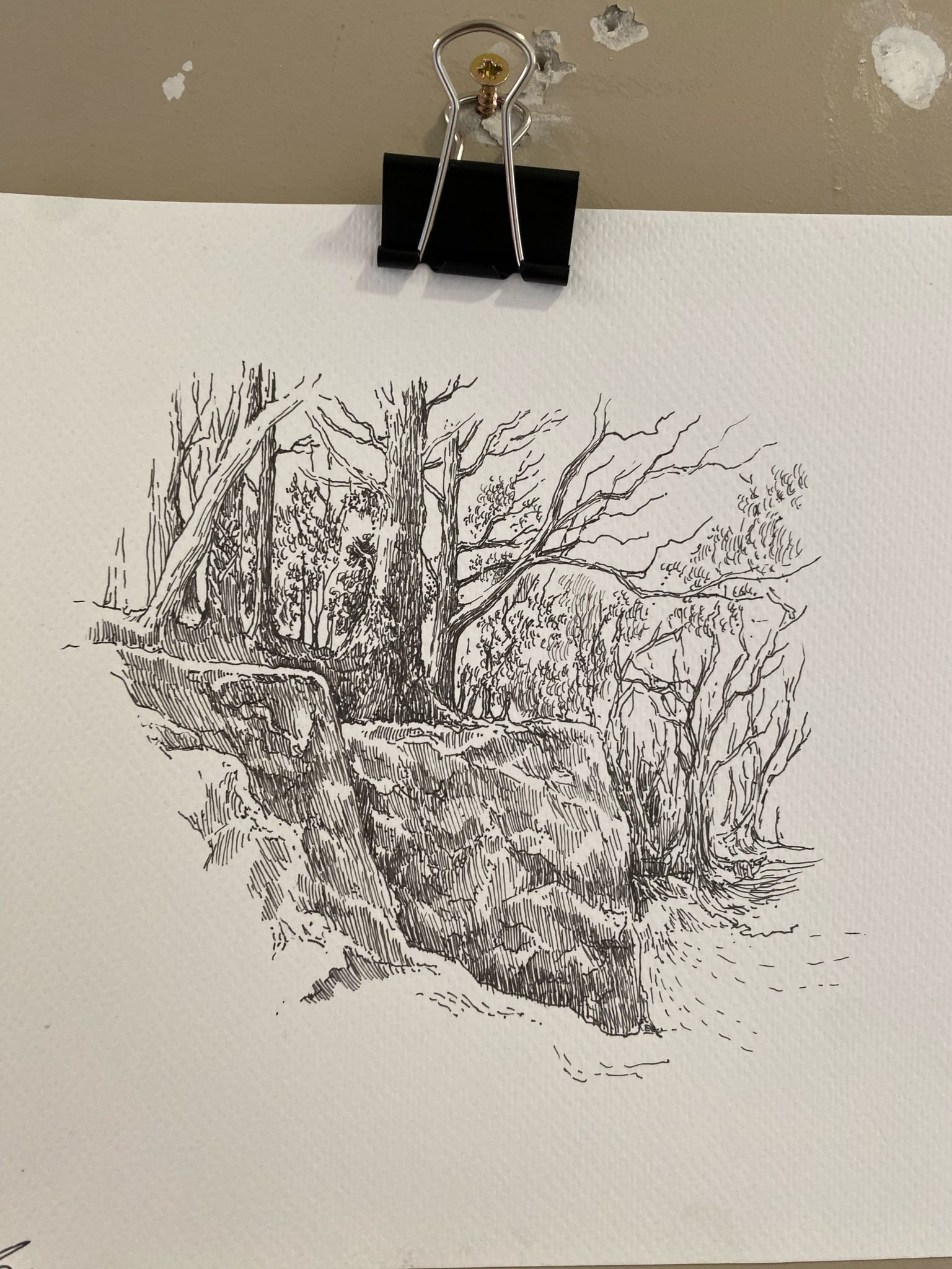 WhatsApp Image 2025-03-01 at 10.47.25 (2).jpeg