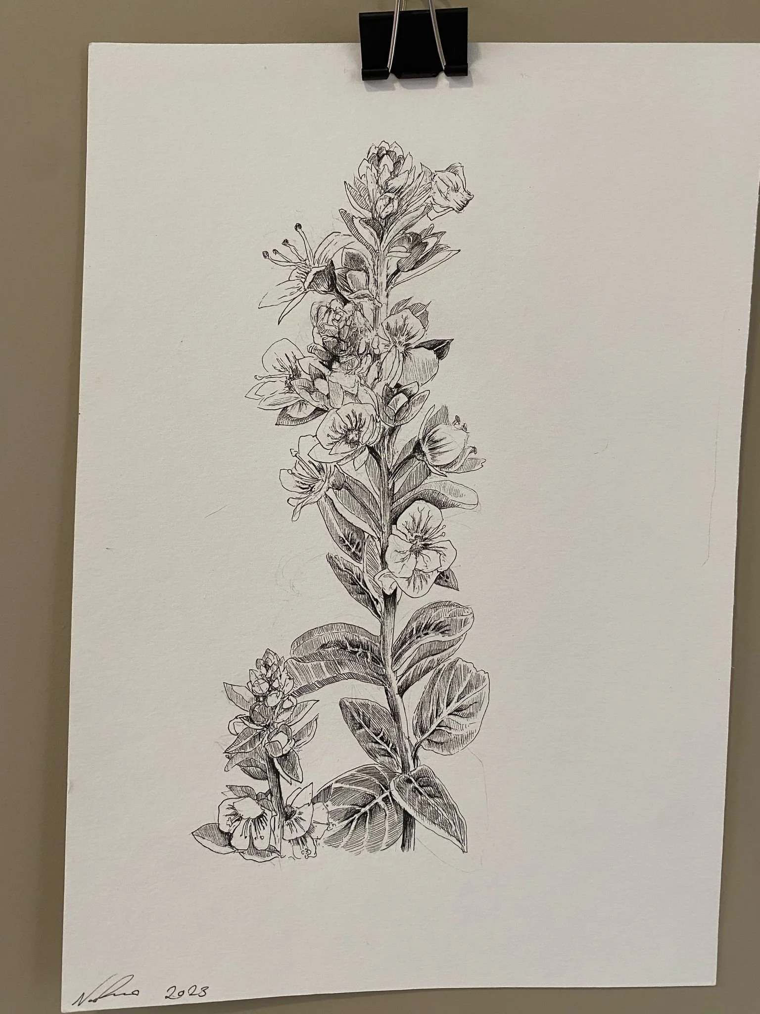 WhatsApp Image 2025-03-01 at 10.47.26 (1).jpeg