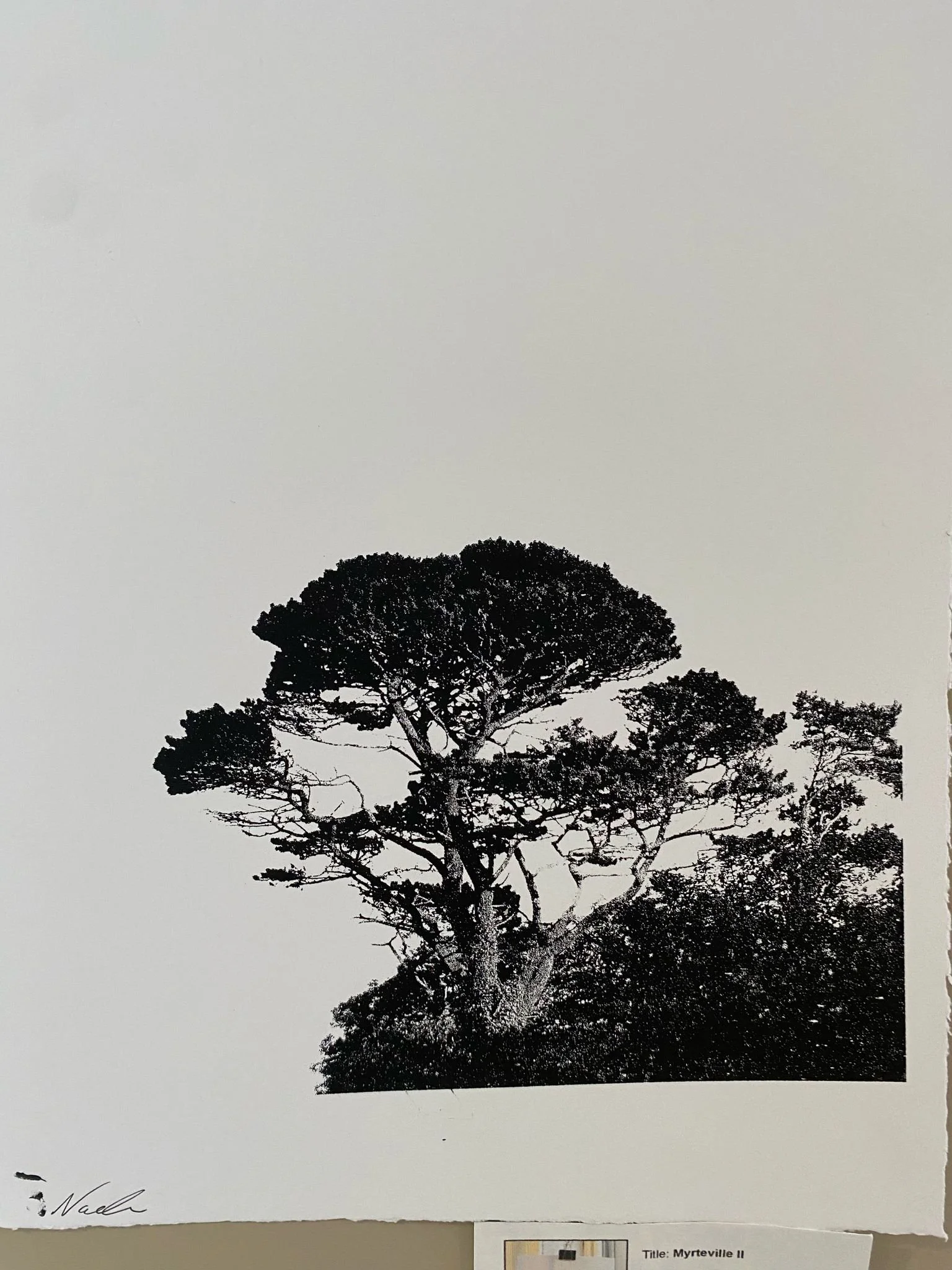 WhatsApp Image 2025-03-01 at 10.47.25 (4).jpeg