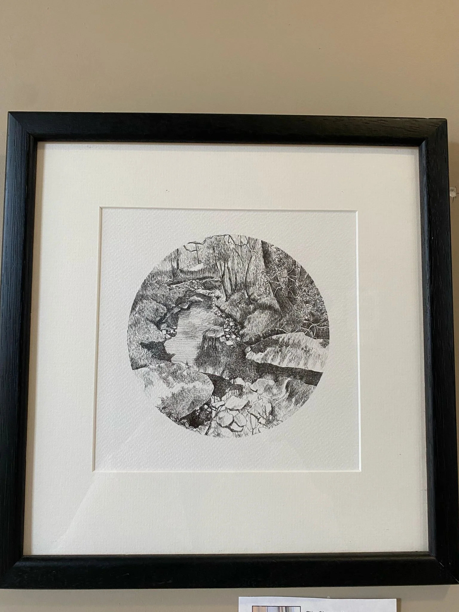 WhatsApp Image 2025-03-01 at 10.29.37.jpeg