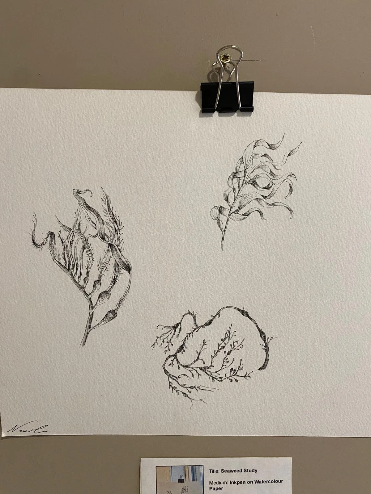 WhatsApp Image 2025-03-01 at 11.06.43.jpeg