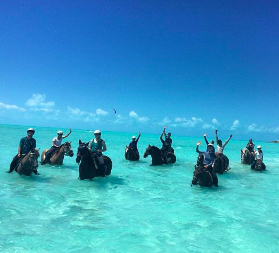 Image: Provo Ponies