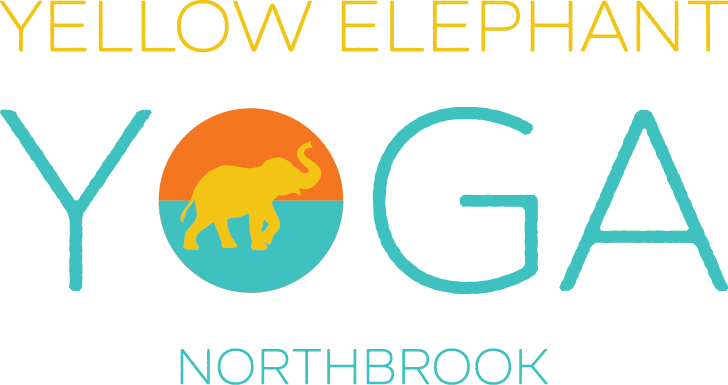 Logo See through .png