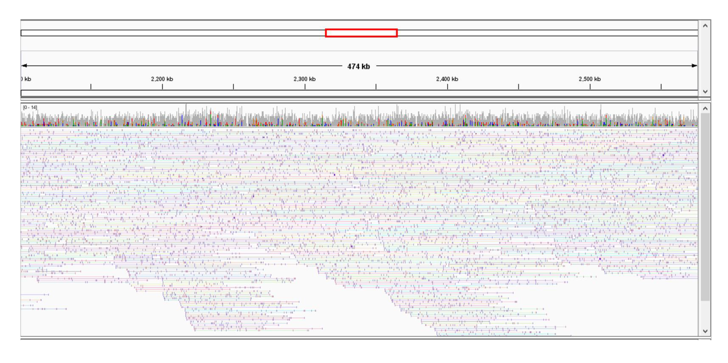 Results I: IGV Snapshot of TELL-Seq Linked Reads
