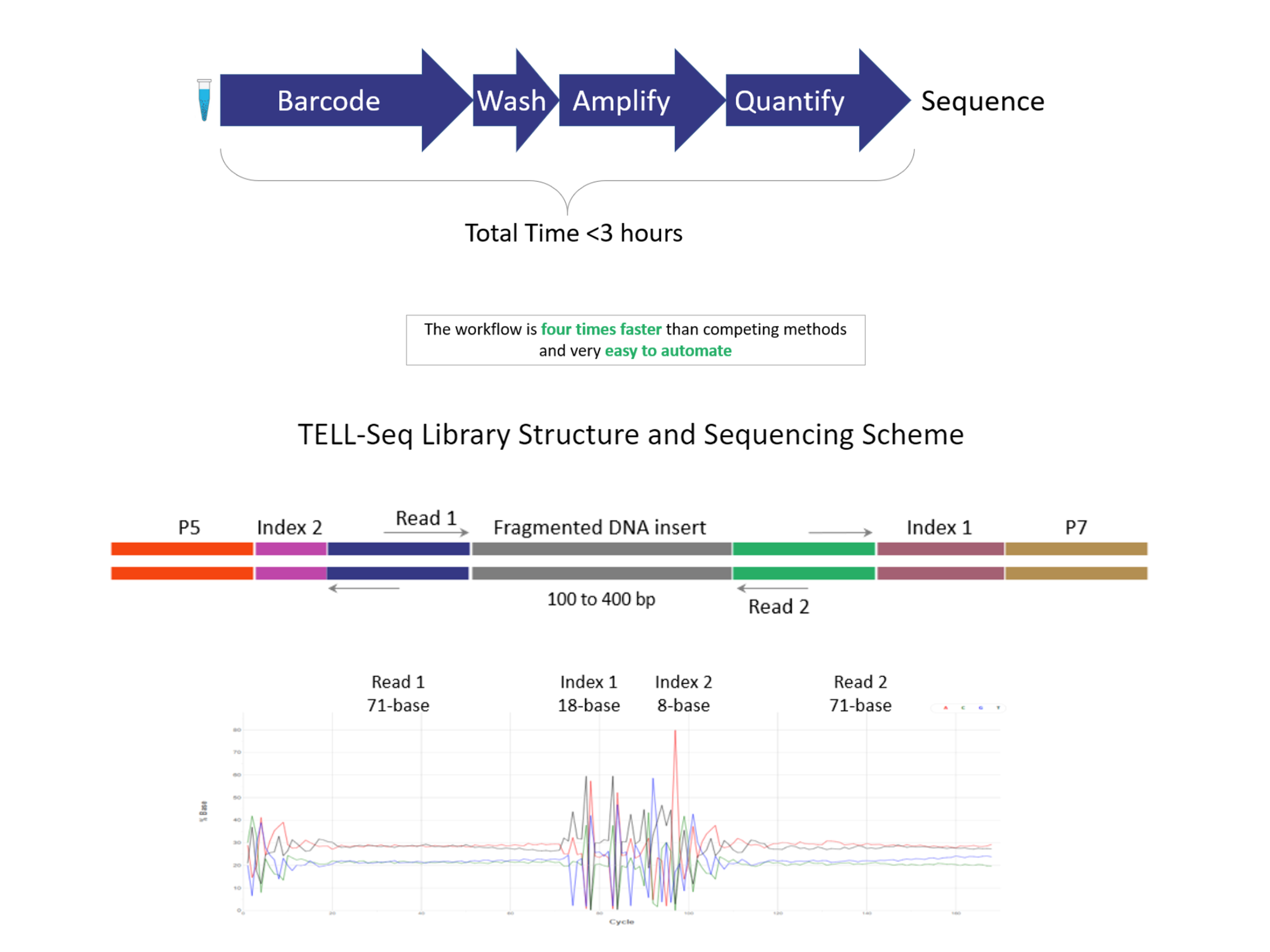 TELL-Seq Library Preparation and Sequencing Workflow