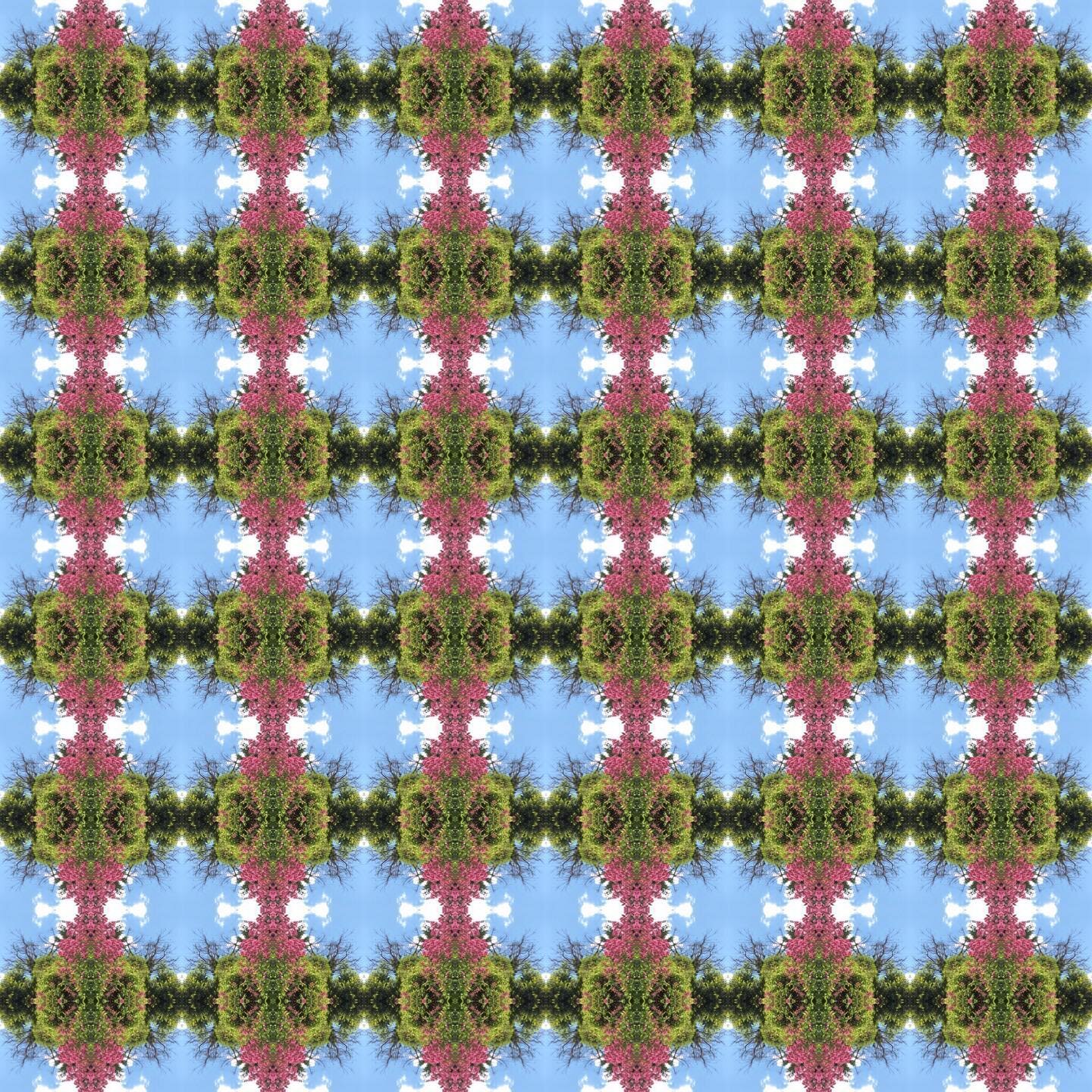 I haven&rsquo;t shared any of these for a while but I found myself experimenting with a few patterns today. #repeatpattern #digitalart #layoutapp #flowers #pink #blue #green #cheddargorge
