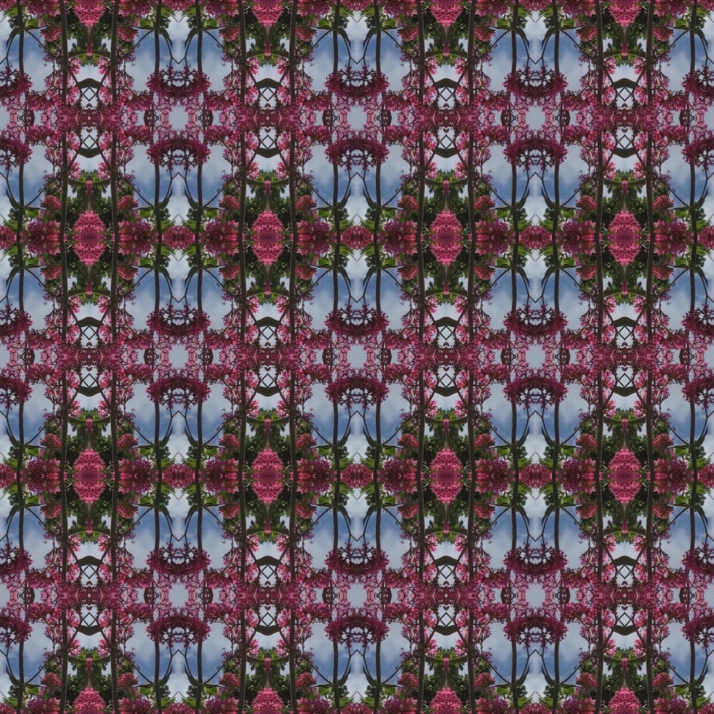 A few more! #pattern #repeatpattern  #digitalart #layoutapp #pinkflowers #bluesky #bankholidaymonday #cheddargorge