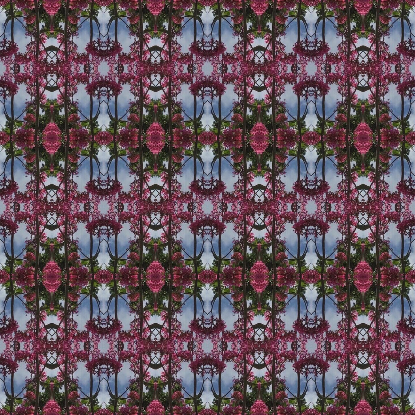A few more! #pattern #repeatpattern  #digitalart #layoutapp #pinkflowers #bluesky #bankholidaymonday #cheddargorge