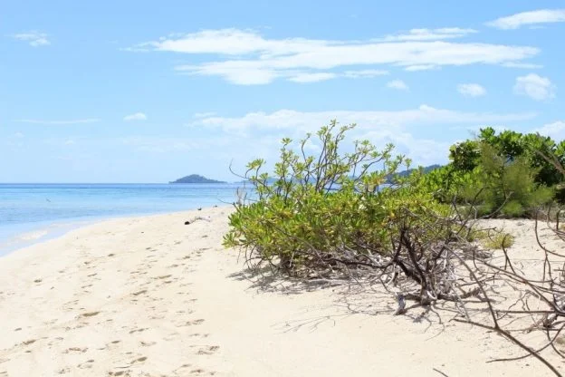 Yapara Island, off Central Sulawesi. Featured in the Sea Delight presentation