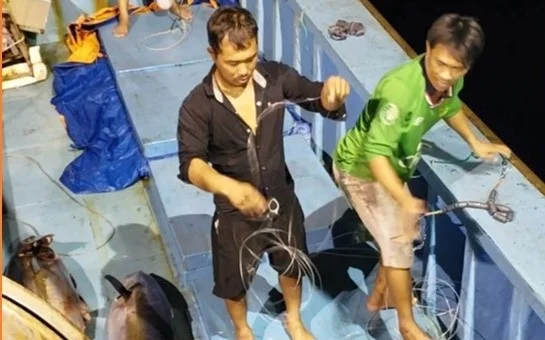 Onboard photo of handline fishing
