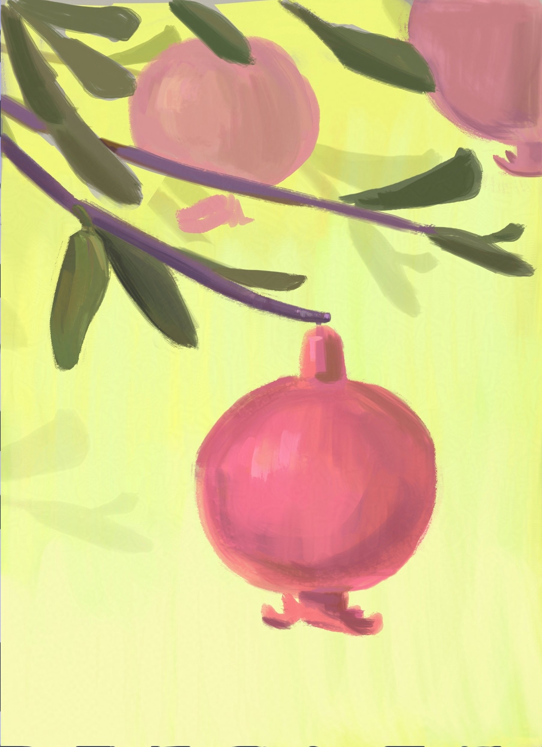sketch painting of a pomegranate