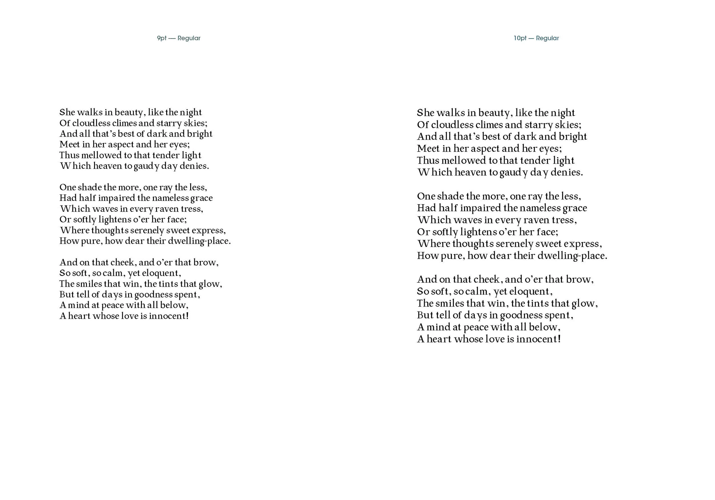 TypeSpecimen_Spreads4.jpg