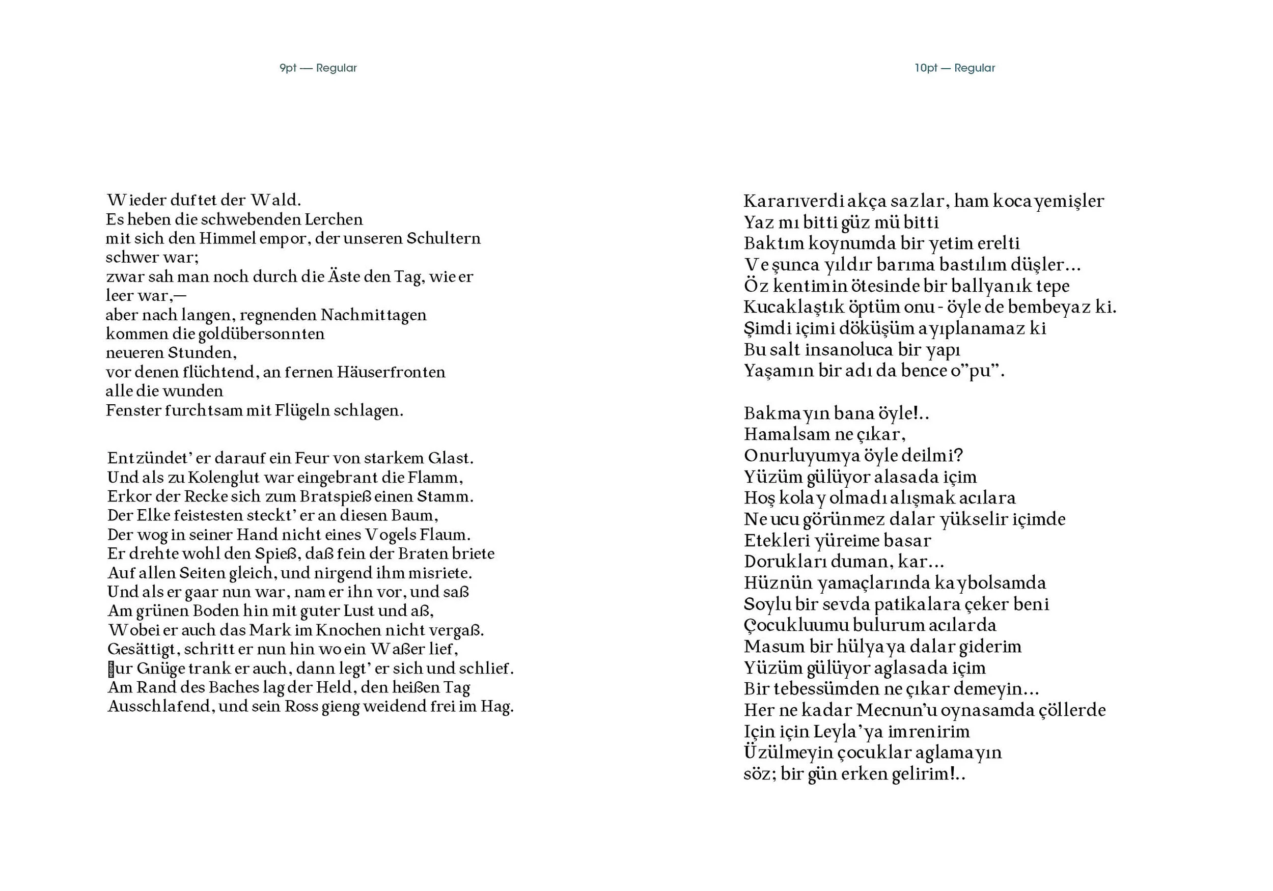 TypeSpecimen_Spreads5.jpg