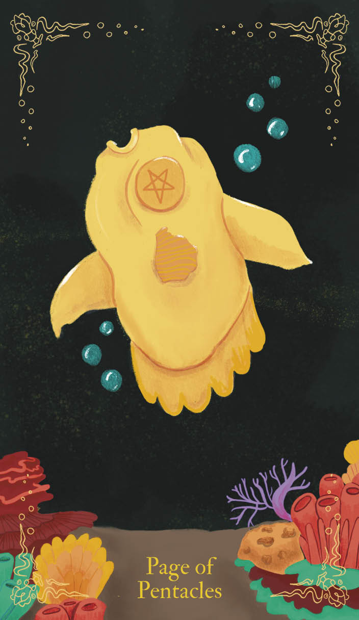 UnderwaterTarotCards3.jpg