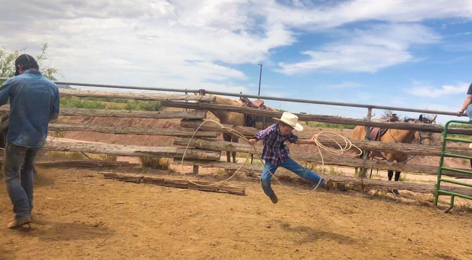 cattle-branding-joy.jpg