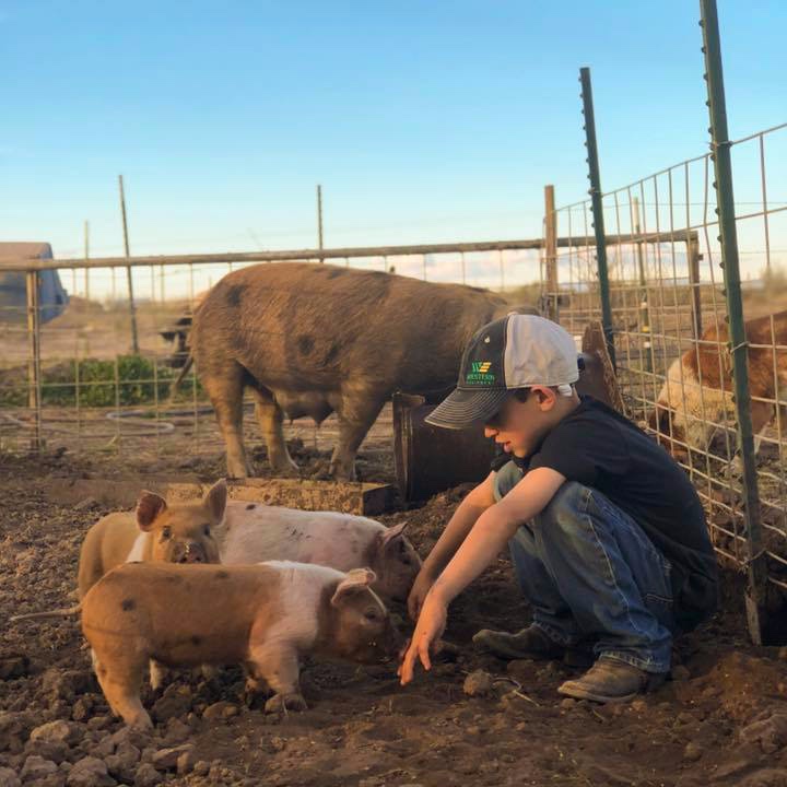 farmboy-with-piglets.jpg