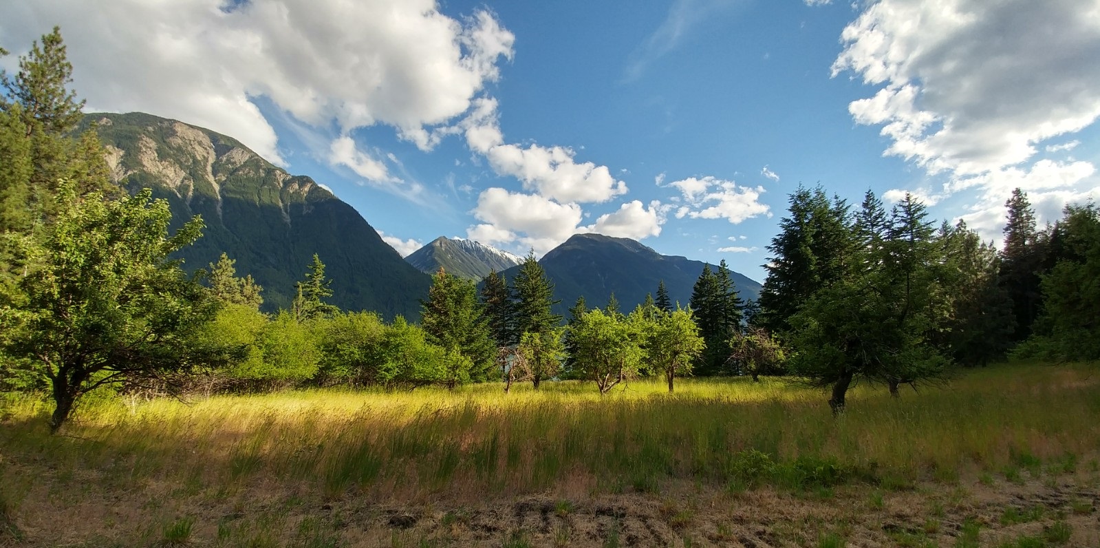 Orchard View.jpg