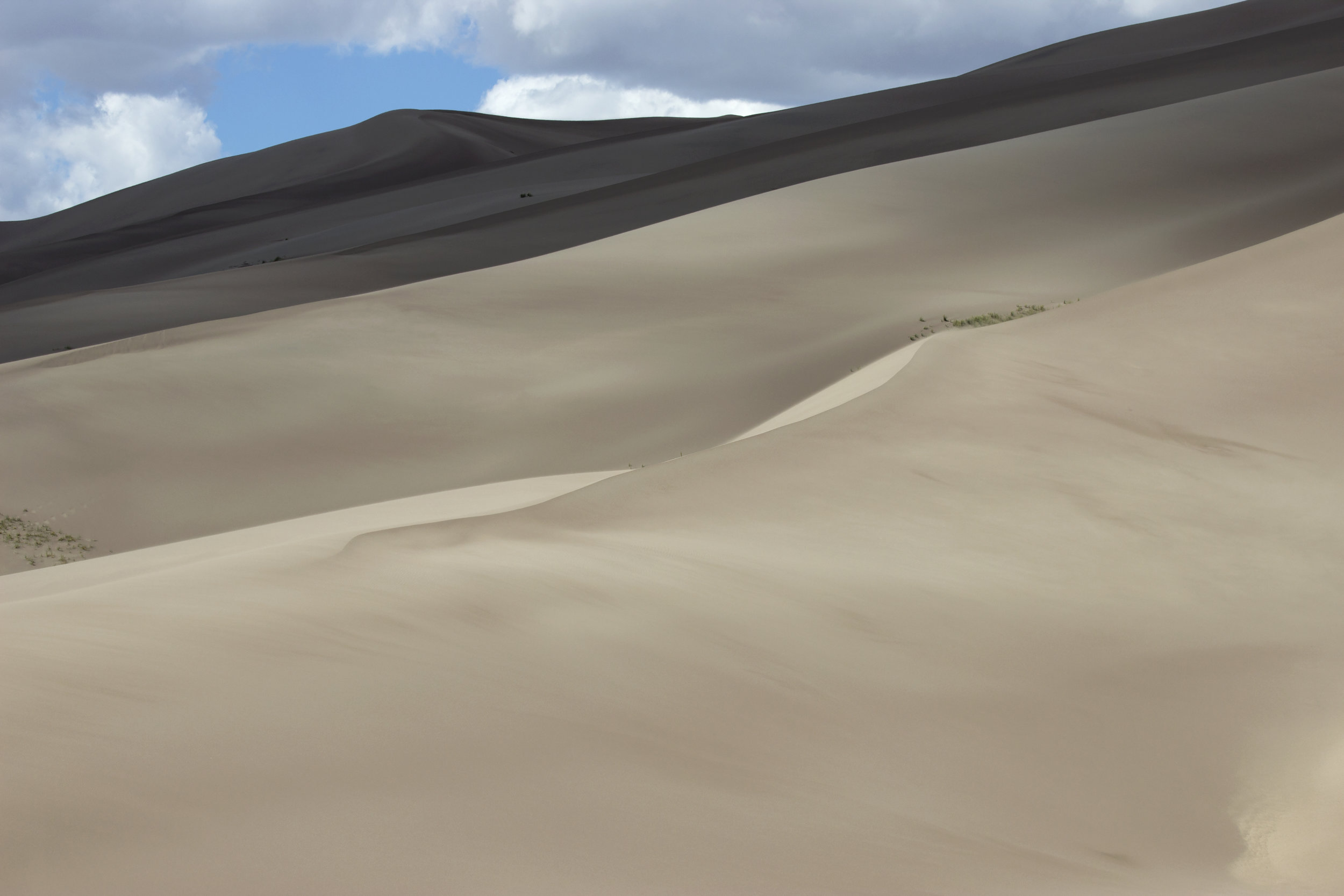 Dune Curves.jpg