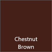 16_Chestnut Brown.png