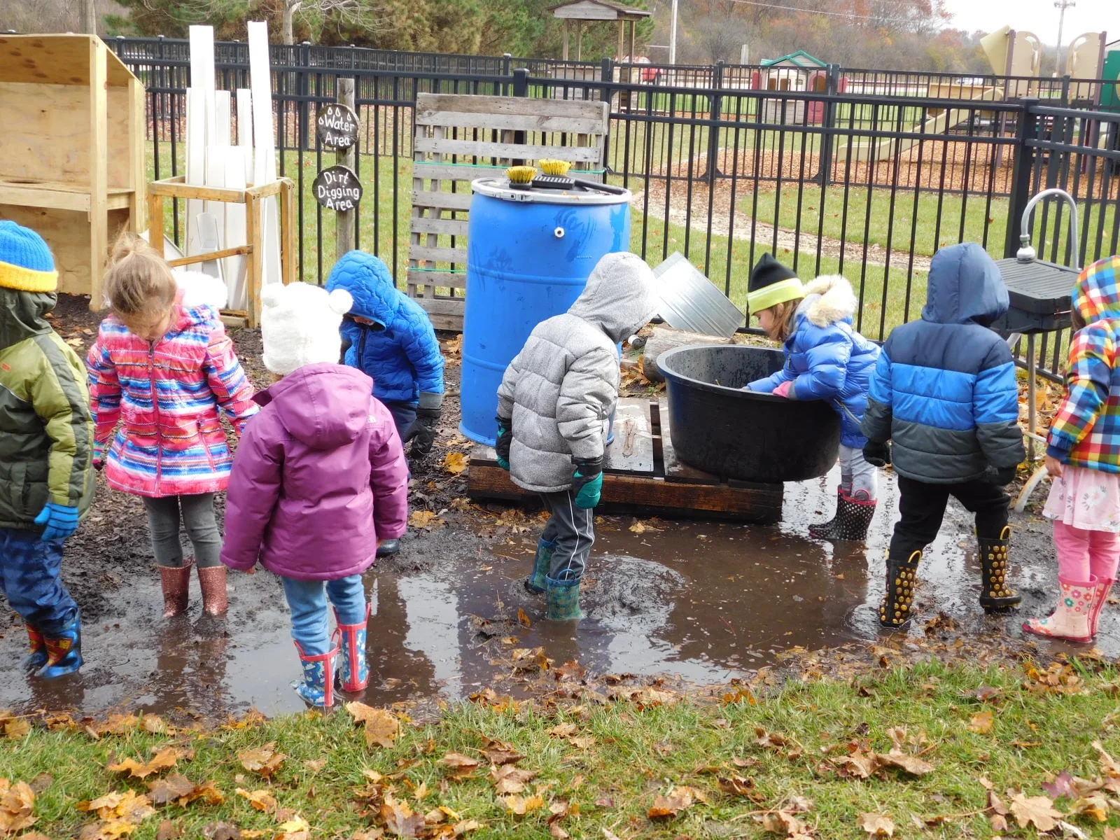 Gross Motor