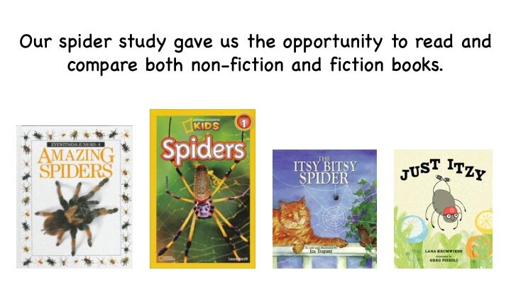 Slide9.jpeg