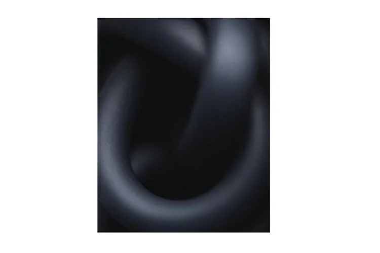 Form #1, 2004