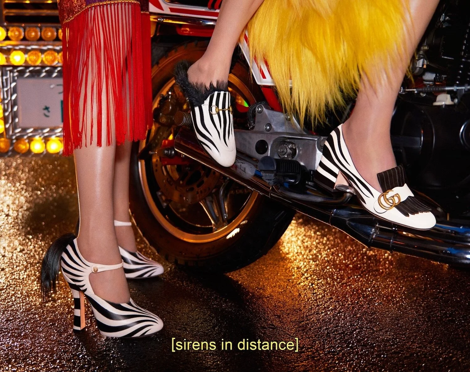 gucci-aw16-campaign-8 copy.jpg