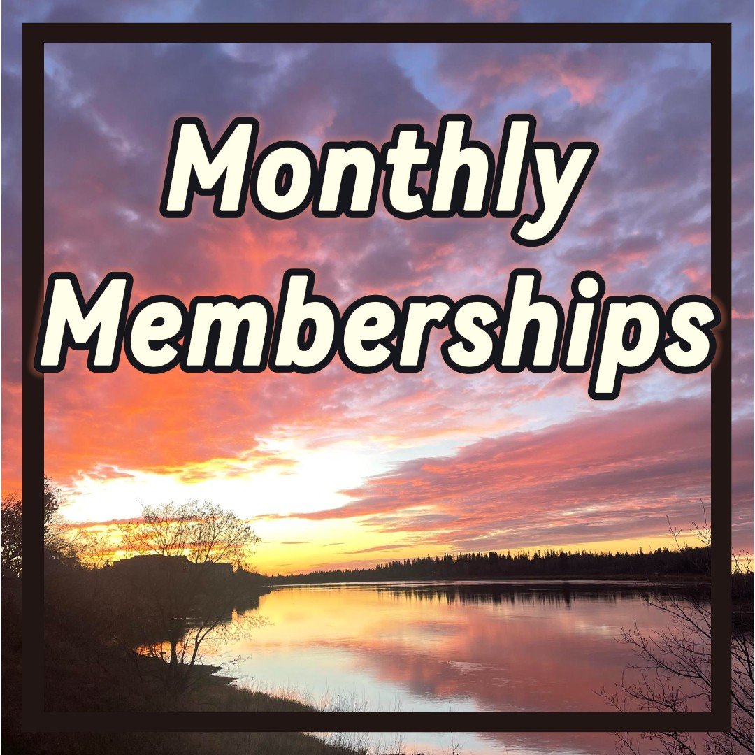 Untitled image_copy (20).jpeg