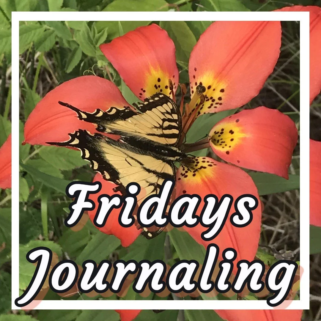 Untitled image (81).jpeg